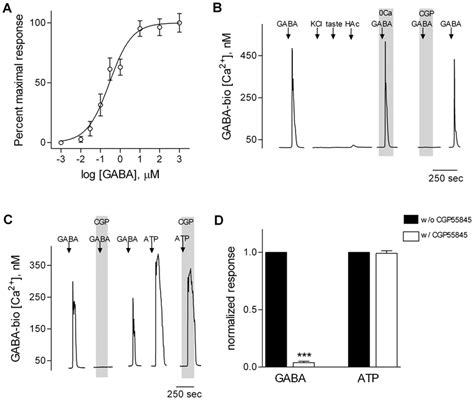 Cho Cells Stably Expressing Gaba B Receptors Are Sensitive And Reliable