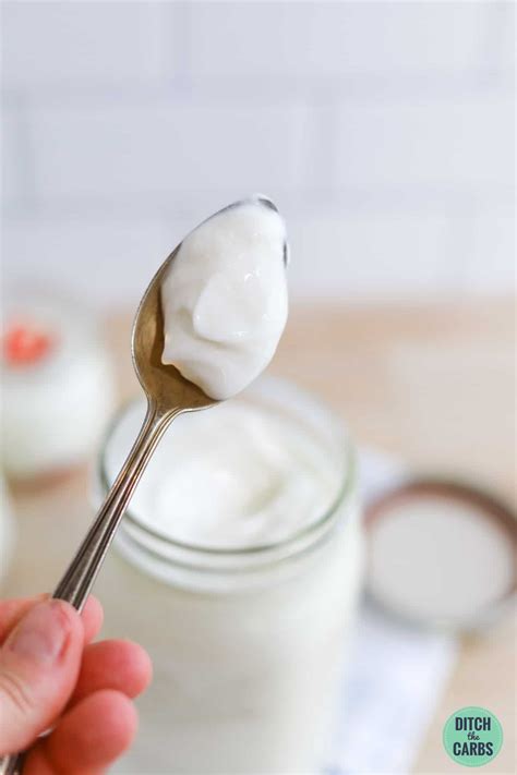 Low-Carb Greek Yogurt (Instant Pot Recipe) - Thinlicious