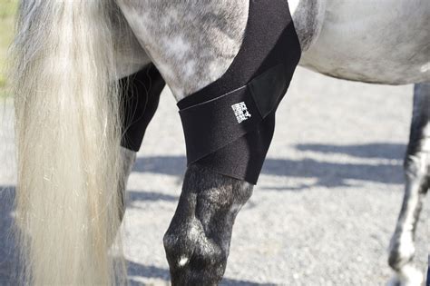 Leg Wrap to Prevent Stifle Injuries in Horses | IceHorse