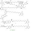 Category:Vilanterol - Wikimedia Commons