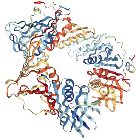 Pcna Protein Overview Sino Biological