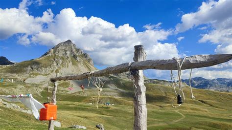 Štap s Hilandara za spas piperske žuje Kako izgleda kada 1 200 ovaca