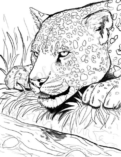 Épinglé par Mwita sur Baw się dobrze Coloriage mandala animaux