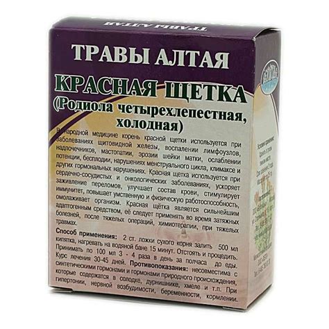 Красная щетка трава: описание, свойства и применение