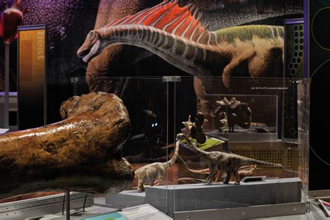 Le Muséum Dhistoire Naturelle Fait Revivre Les Dinosaures Géants