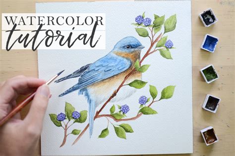 How to Paint a Bluebird in Watercolor: Easy Guide & Tips - Your Painting Haven