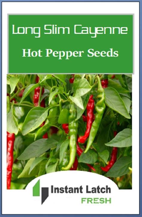 Long Slim Cayenne Hot Pepper Seeds Non Gmo Heirloom Fresh Garden