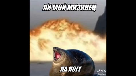 Ай МоЙ МизИнеЦ нА НогЕ 🤣🤣🤣 #comedy #юмор #мем #funny #memes #прикол ...