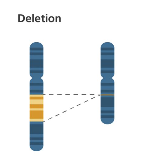 Chromosomal abnormalities and IVF: what you need to know