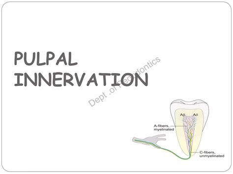 Pulp Vitality Test New Ppt