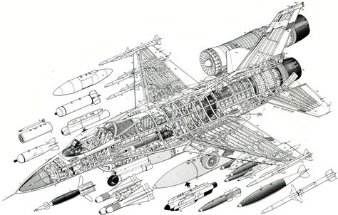 Lockheed Martin F Fighting Falcon Cutaway Spaccato Profili