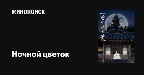 Ночной цветок (сериал, 1 сезон, все серии), 2024 — описание, интересные ...