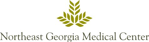 Northeast Georgia Health System Wizard Record Request