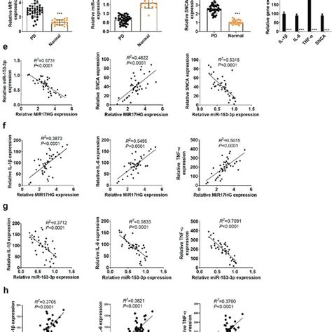 Expression Features Of LncRNA MIR17HG SNCA And MiR 153 3p In The PD