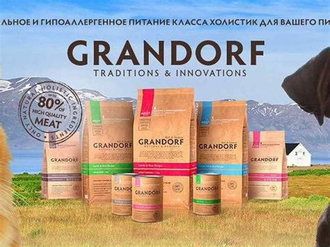Корм Грандорф (Grandorf) для кошек | состав, цена, отзывы