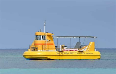 Roatán Tour En Bote Con Fondo De Cristal Santuario De Perezosos Y