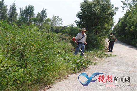 方村街道方家村清除马路两侧杂草 确保道路安畅整洁 镜湖新闻网