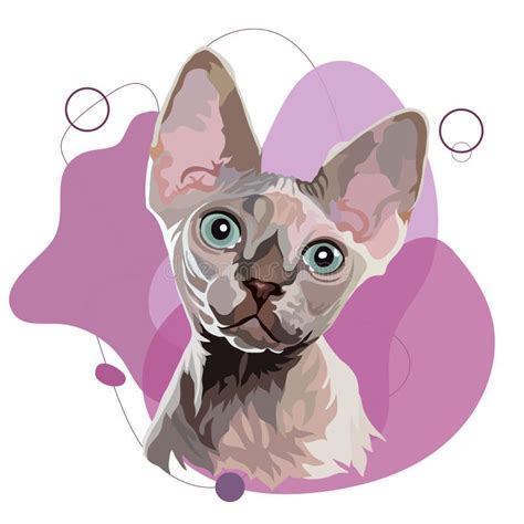 Hairless Cat Sphinx Portrait Stock Illustrations 417 Hairless Cat