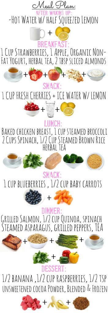 Balanced Diet Meal Plan For A Day Trip - shortutorrent