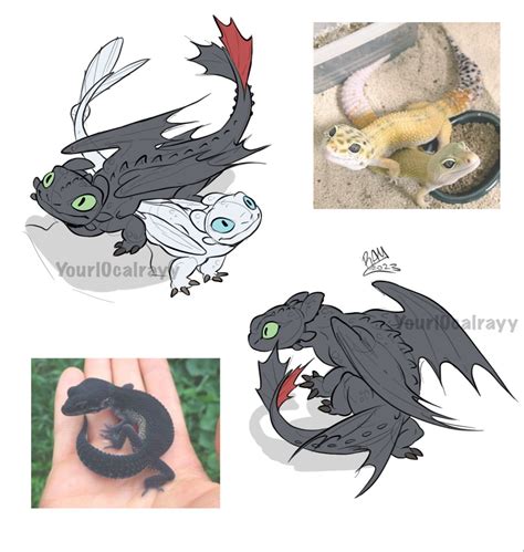 Toothless Costume Favorite Character Character Art Httyd Art Gifs