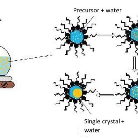 Schematic View Of Reverse Micelle Method Download Scientific Diagram