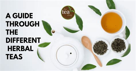 5 Types Of Herbal Teas Their Health Benefits You Must Know