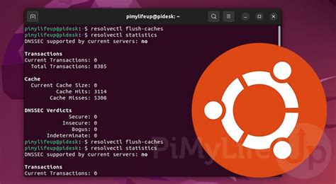 How To Flush The DNS Cache On Ubuntu Pi My Life Up