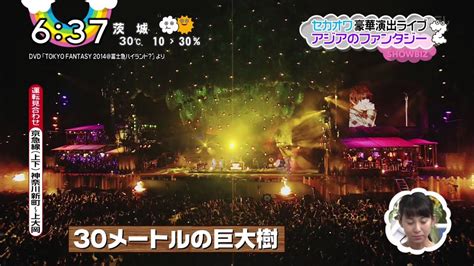 zipsj news