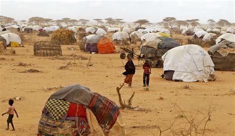 Road To Dadaab World Help