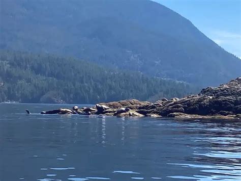 Kayak Camping in the Sechelt Inlet - Live, Wander, Play