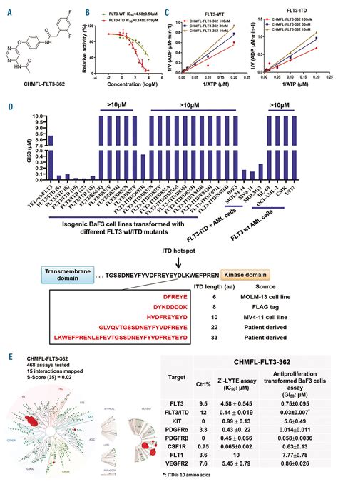 Selectively Targeting Flt Itd Mutants Over Flt Wt By A Novel