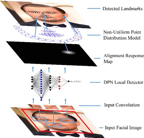 Figure 1 From Deep Constrained Local Models For Facial Landmark