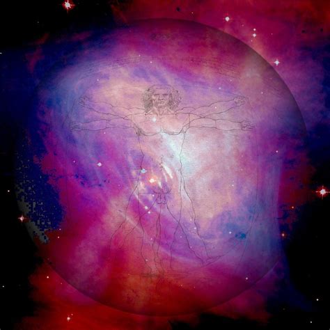 L'Homme De Vitruve Leonardo Da · Image gratuite sur Pixabay