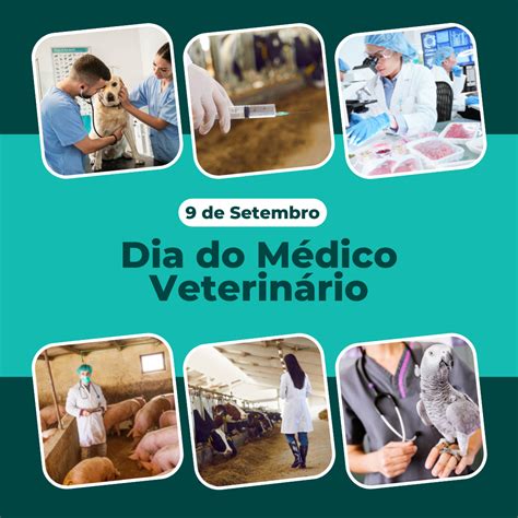 9 de setembro Dia do Médico Veterinário Escola de Veterinária UFMG