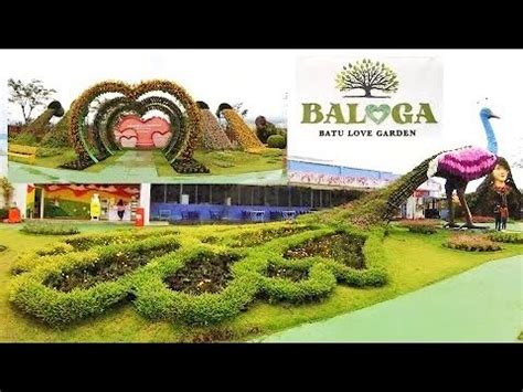 Baloga Batu Love Garden Wisata Taman Bunga Di Batu Malang YouTube