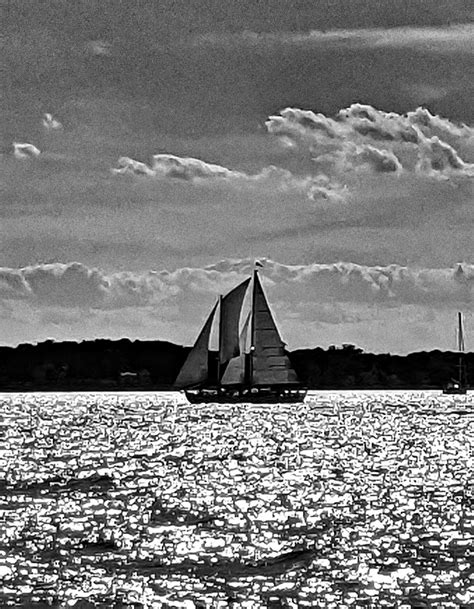 Schooner In Late Afternoon Light Schooner Woodwind