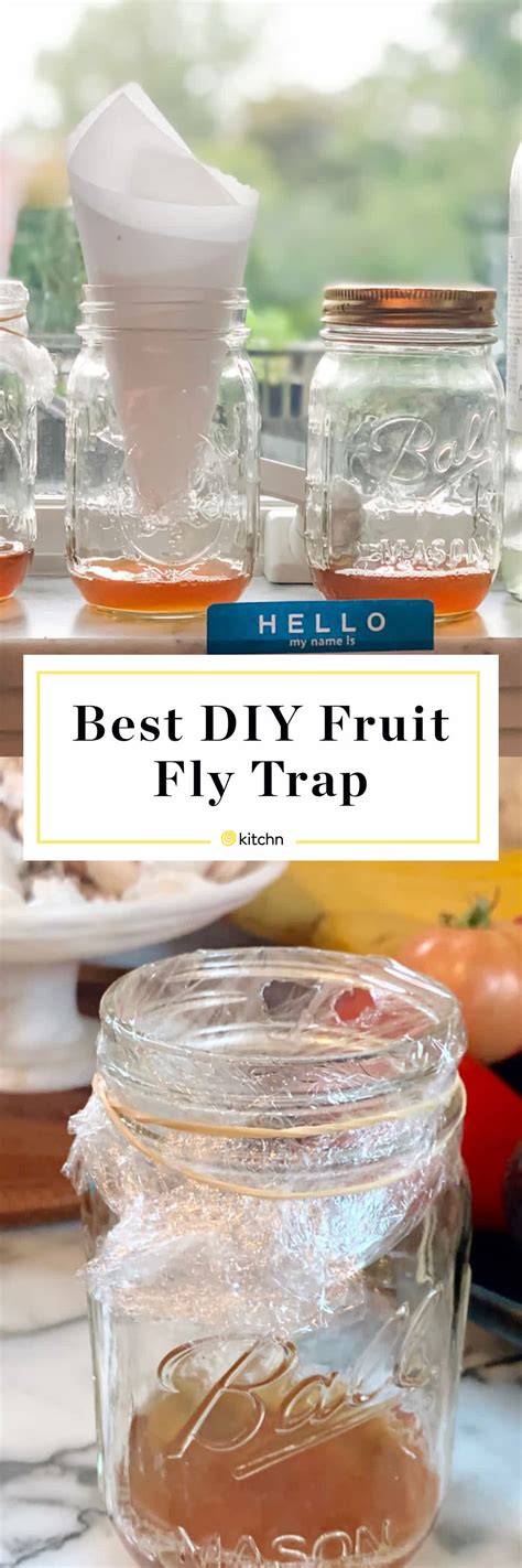 Easy Do It Yourself Diy Homemade Fly Trap Diy Fly Trap Homemade Fly