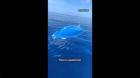 The Ocean Whispered Horror Witness Ikadauria Surfaced Now Spreading Dread news