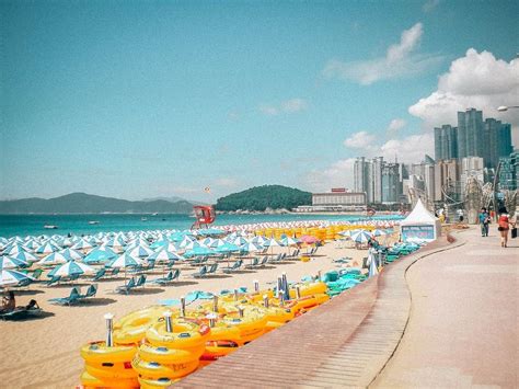 Incredible Things To Do In Busan Tips Tricks Daily Travel Pill