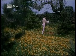 Vsechno Nebo Nic Nude Scenes Aznude