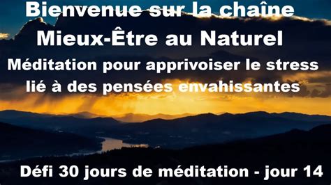 14 Apprivoiser Le Stress Lié A Des Pensées Envahissantes Défi 30