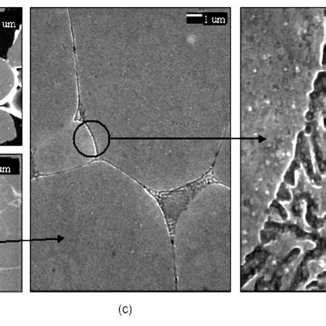 Fesem Micrographs Of The Typical Microstructure Found In Sample I Download Scientific Diagram