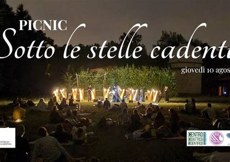 Picnic Sotto Le Stelle Cadenti Con Musica Celtica Nel Parco Pineta