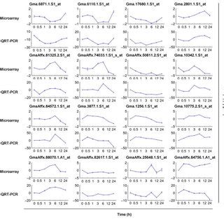 Dynamic Expression Pattern Of Different Clusters During Nahco Stress