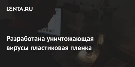 Разработана уничтожающая вирусы пластиковая пленка: Будущее: Наука и ...