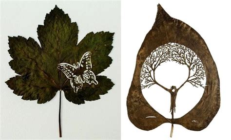 Leaf Art: Artist creates intriguing artwork on fallen leaves