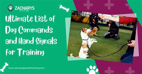 20 Ultimate List of Dog Commands and Hand Signals for Training