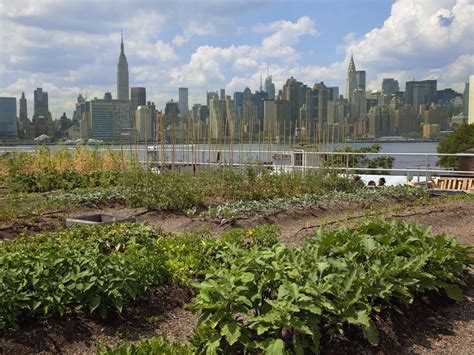 Most Unique Urban Farms Around The World