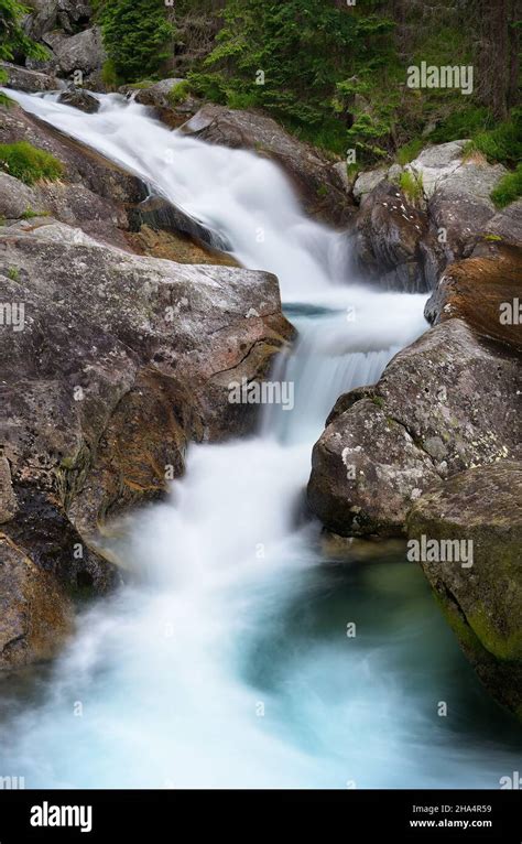 Waterfall in mountain forest. The mountain river Stock Photo - Alamy