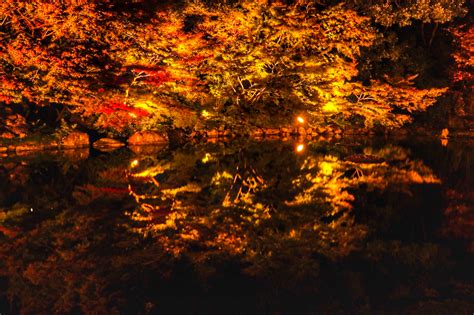 徳川園 紅葉祭 名古屋市東区の観光・撮影スポットの名所 東海カメラマップ